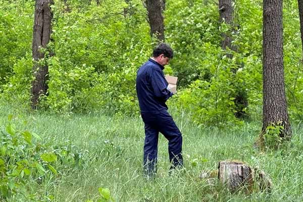 осіння імунізація диких м’ясоїдних тварин проти сказу