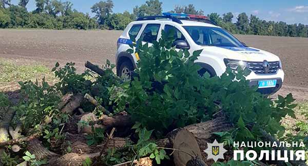 На Полтавщині п'ятеро зловмисників незаконно вирубували дерева