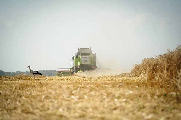 Аграрії Полтавщини завершили збір урожаю