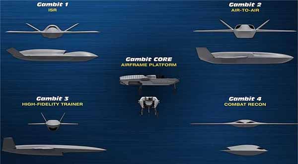 безпілотні літальні апарати (БПЛА) Gambit Autonomous