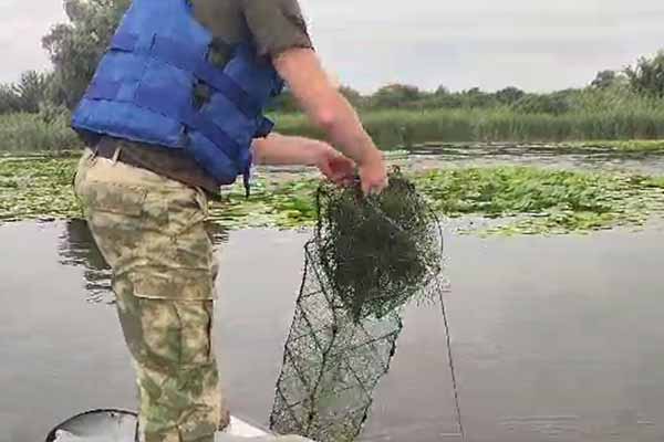 Під час патрулювання поліцейські вилучили з водойми 12 раколовок