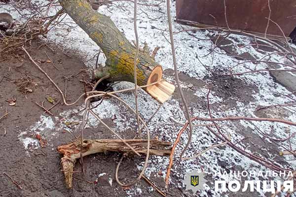 На Полтавщині чоловік впав з дерева й помер