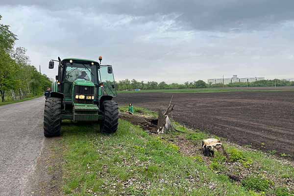 На Гребінківщині висадили алею молодих дерев