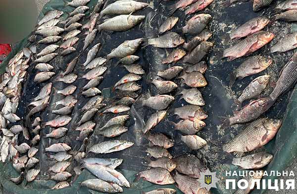 На Полтавщині водій перевозив понад 20 кілограмів риби без документів