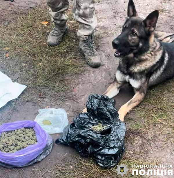 Двох жителів Полтавщини підозрюють у причетності до незаконного обігу